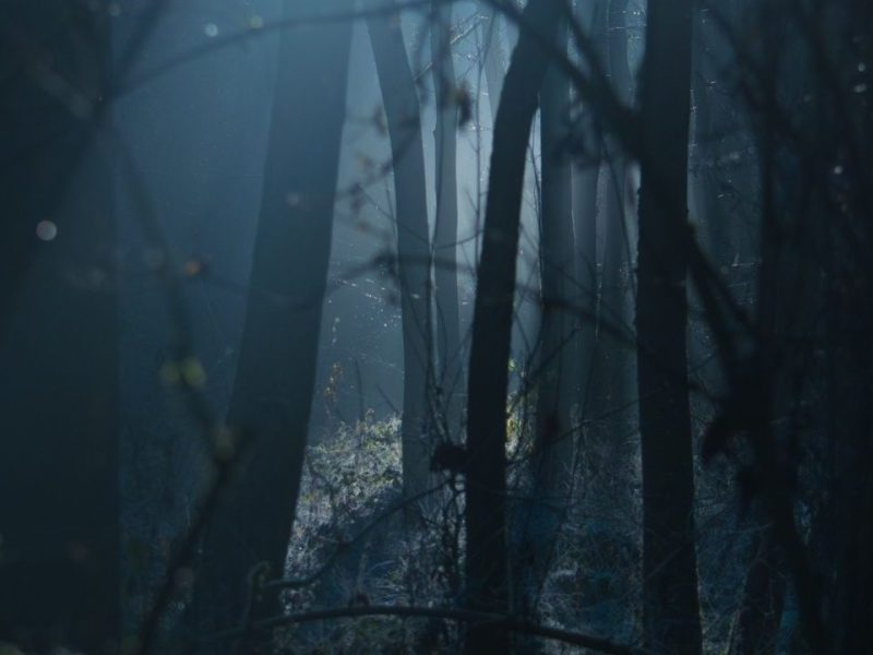 This article explores why C.S. Lewis's The Chronicles of Narnia remains a touchstone of fantasy decades after its publication, examining the books' themes, char...