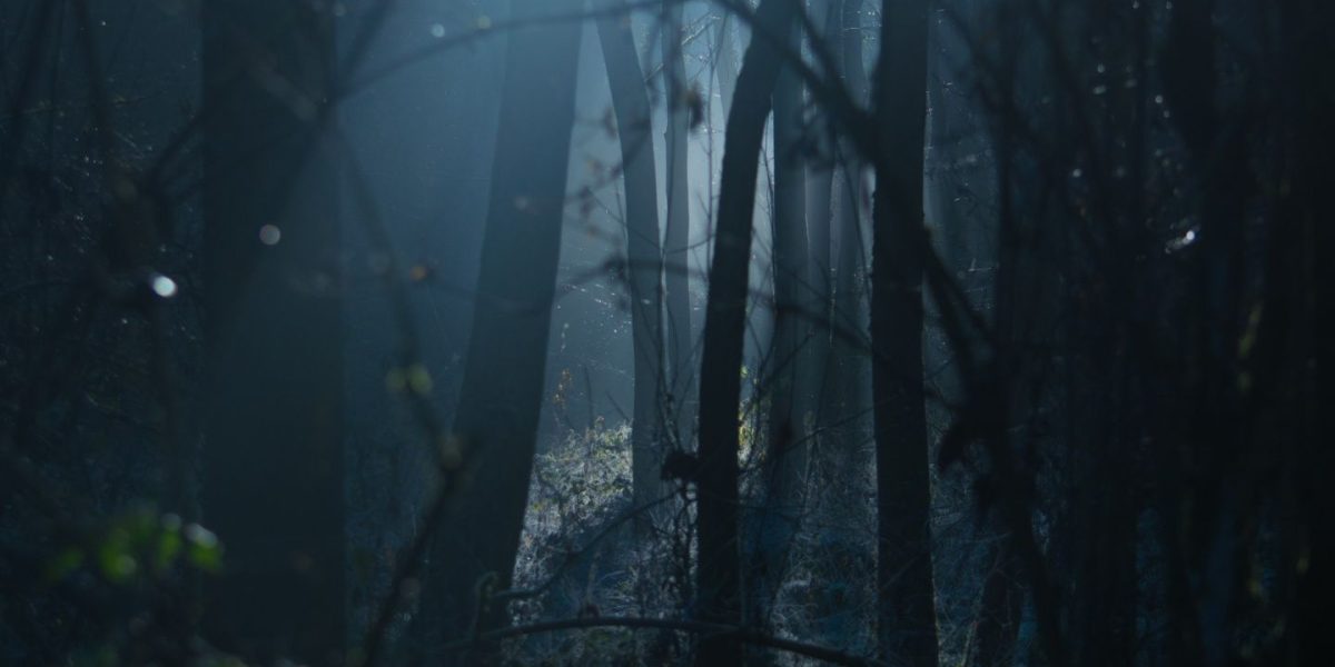 This article explores why C.S. Lewis's The Chronicles of Narnia remains a touchstone of fantasy decades after its publication, examining the books' themes, char...