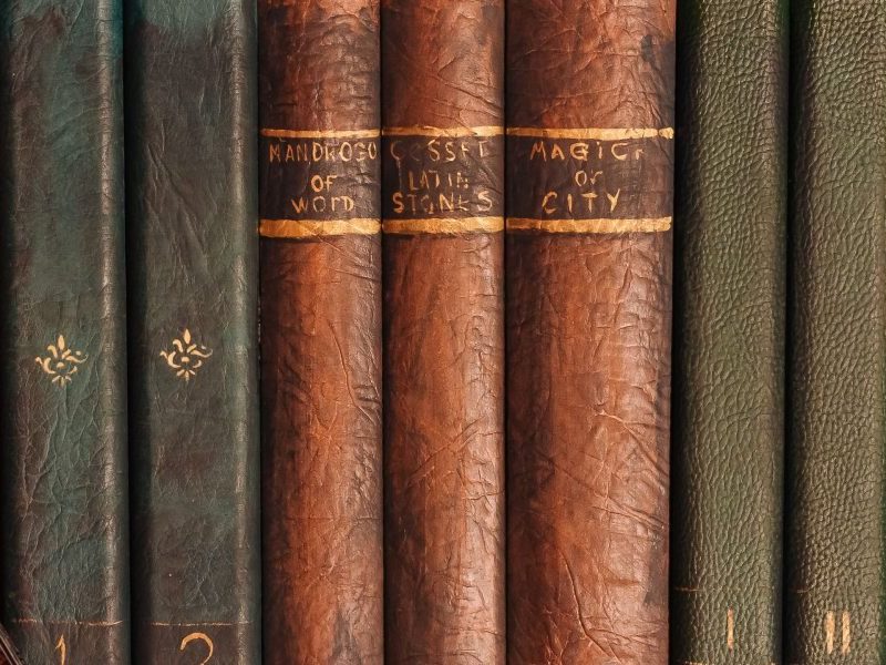 This article explains why The Fellowship of the Ring remains essential reading for fans of epic fantasy, tracing how J.R.R. Tolkien's scholarly life and war exp...